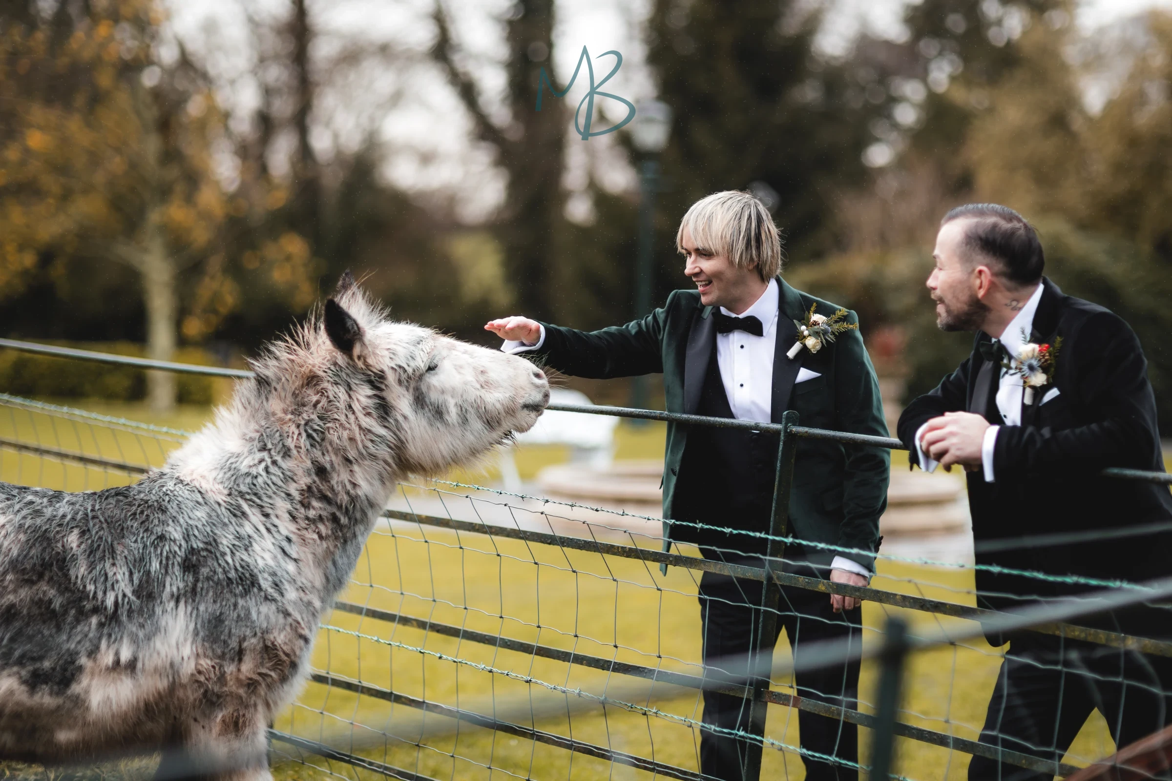 David & James, Brookhall cottages