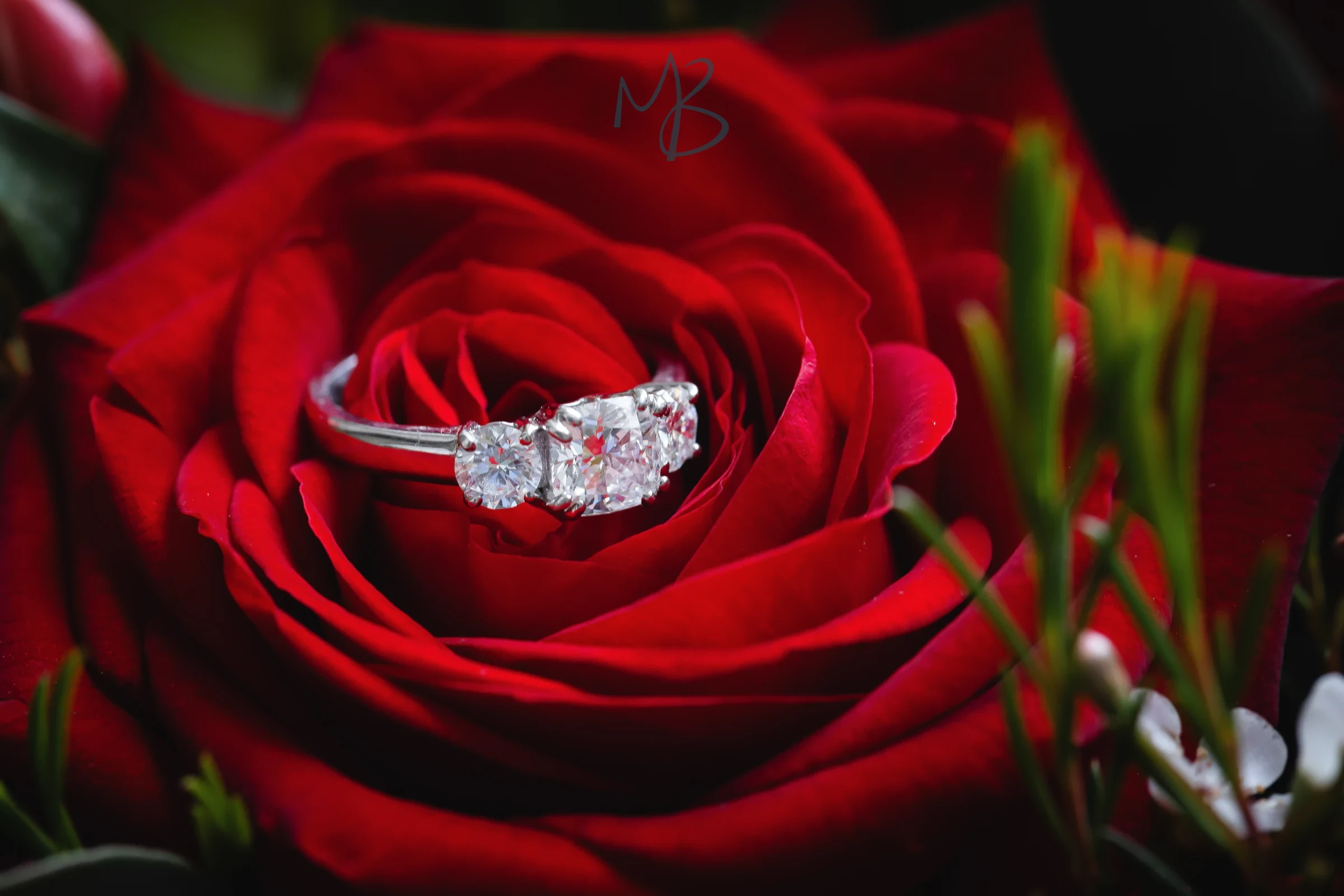 Andrew & Shauna, Belmont Banbridge