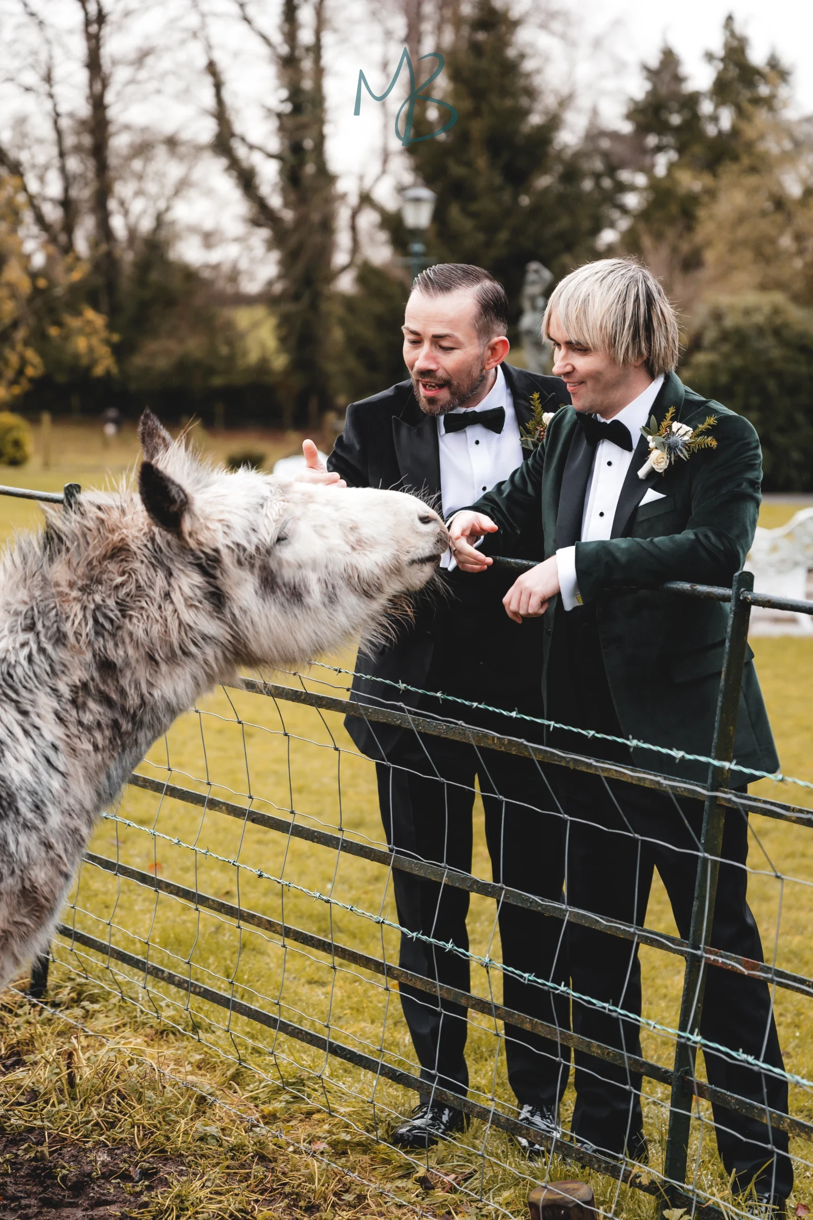 David & James, Brookhall cottages