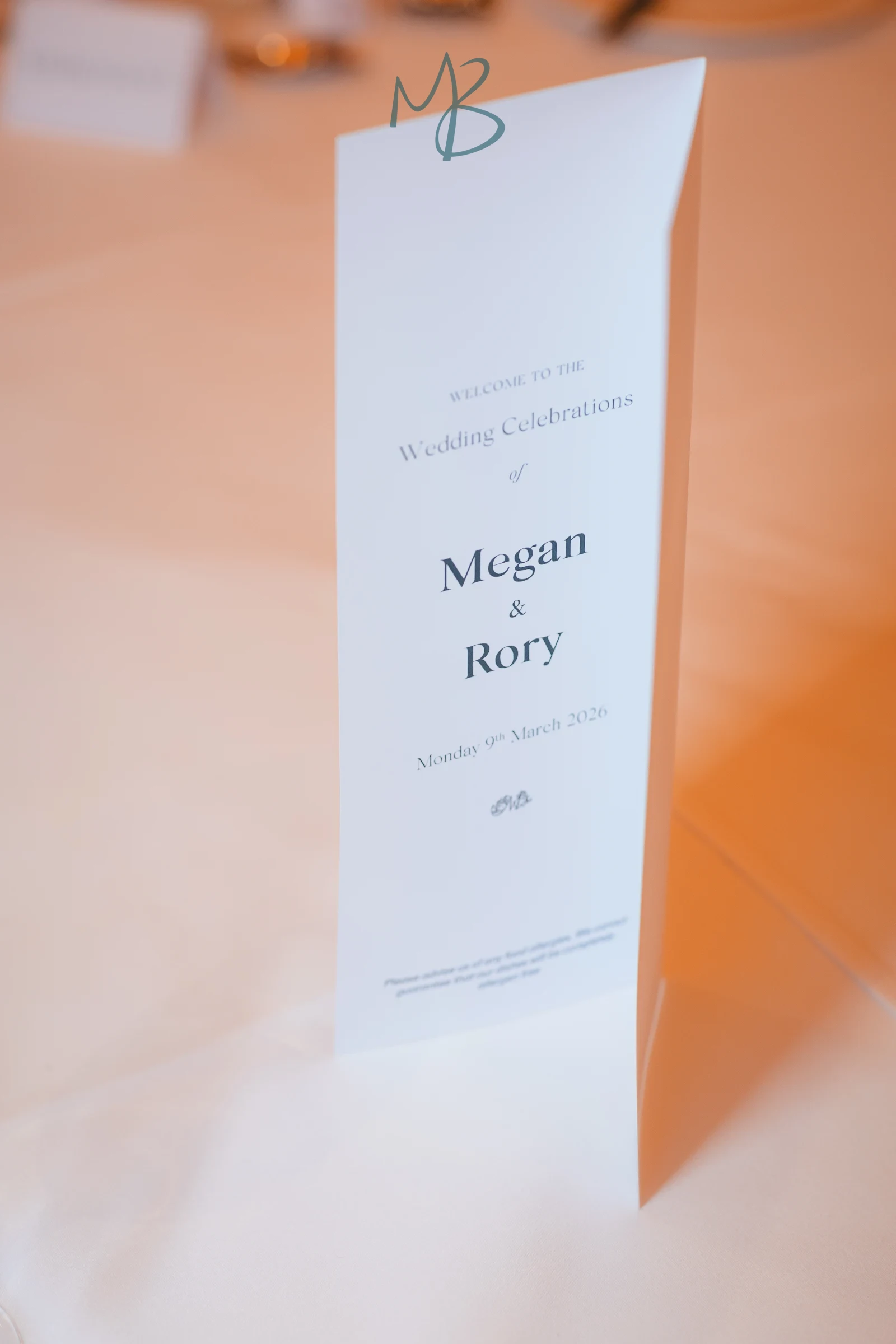 Rory & Megan, Belfast City Hall