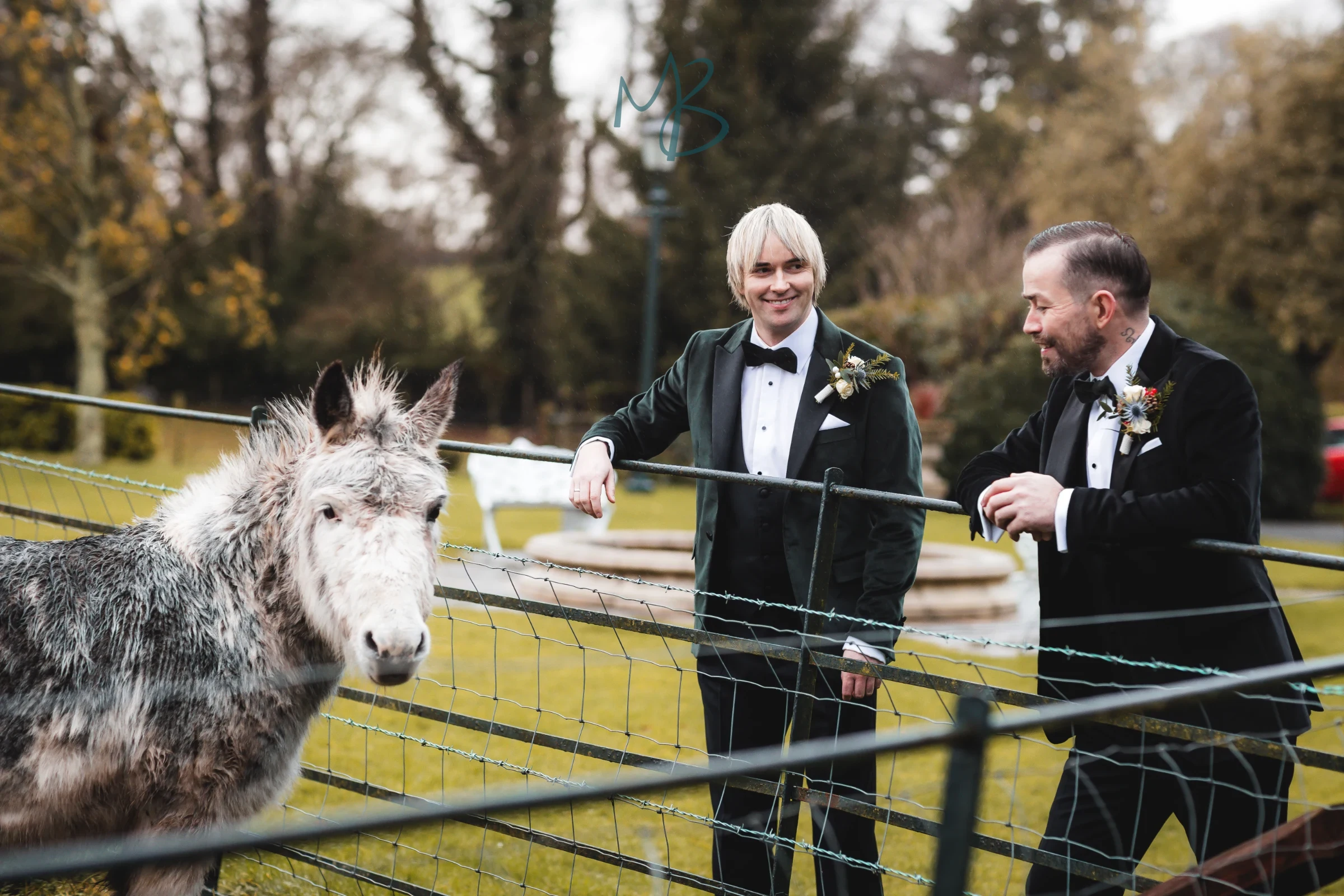 David & James, Brookhall cottages