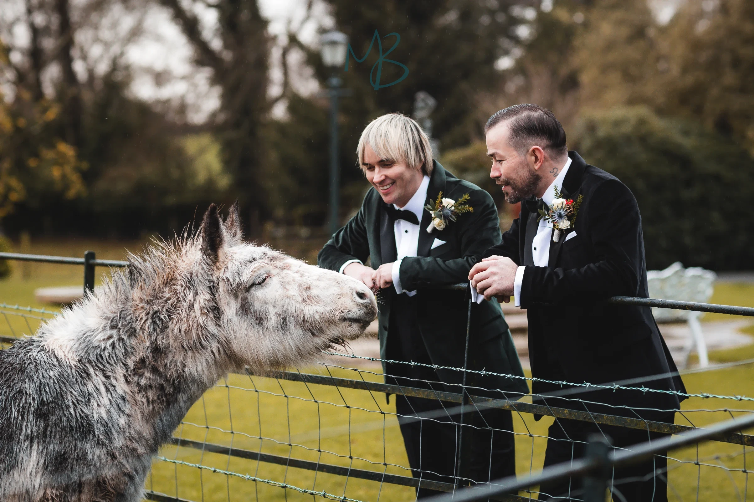 David & James, Brookhall cottages